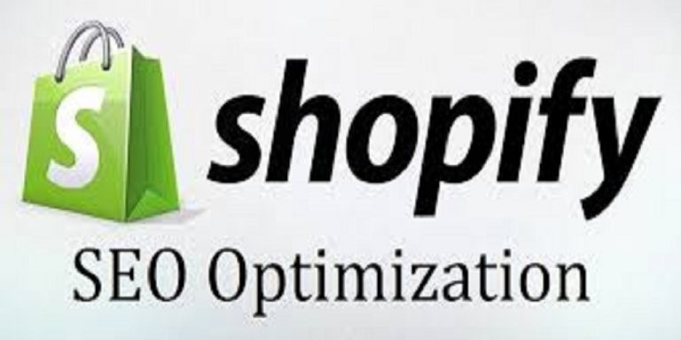 Get More Organic Traffic With a Qualified Shopify SEO Expert