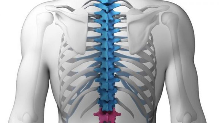 An holistic approach to understand compression fracture