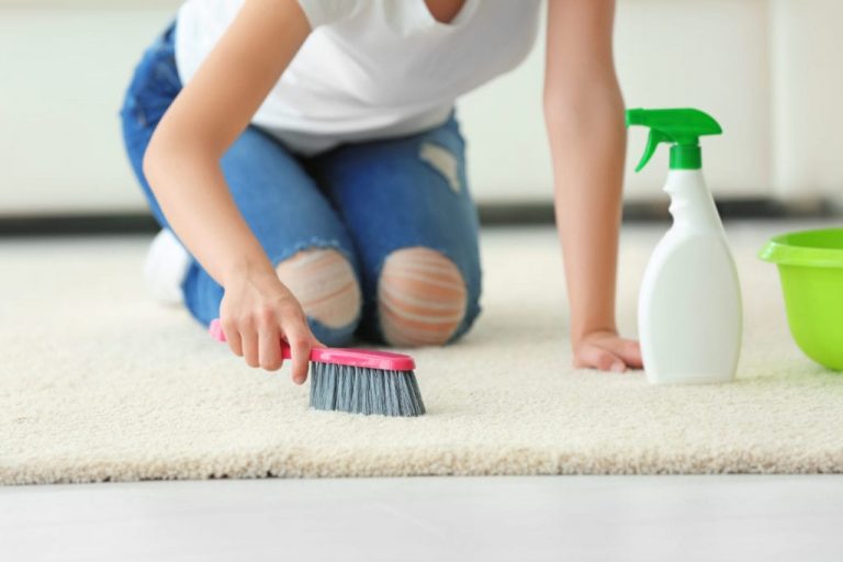 myths about carpet cleaning