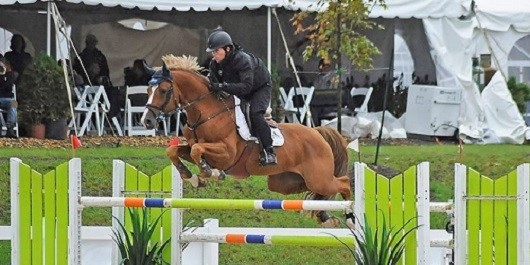 Conor Swail Showjumper