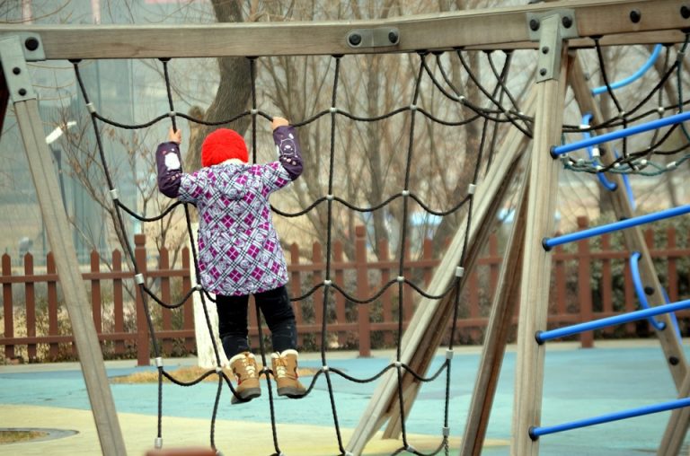 Climbing Frames