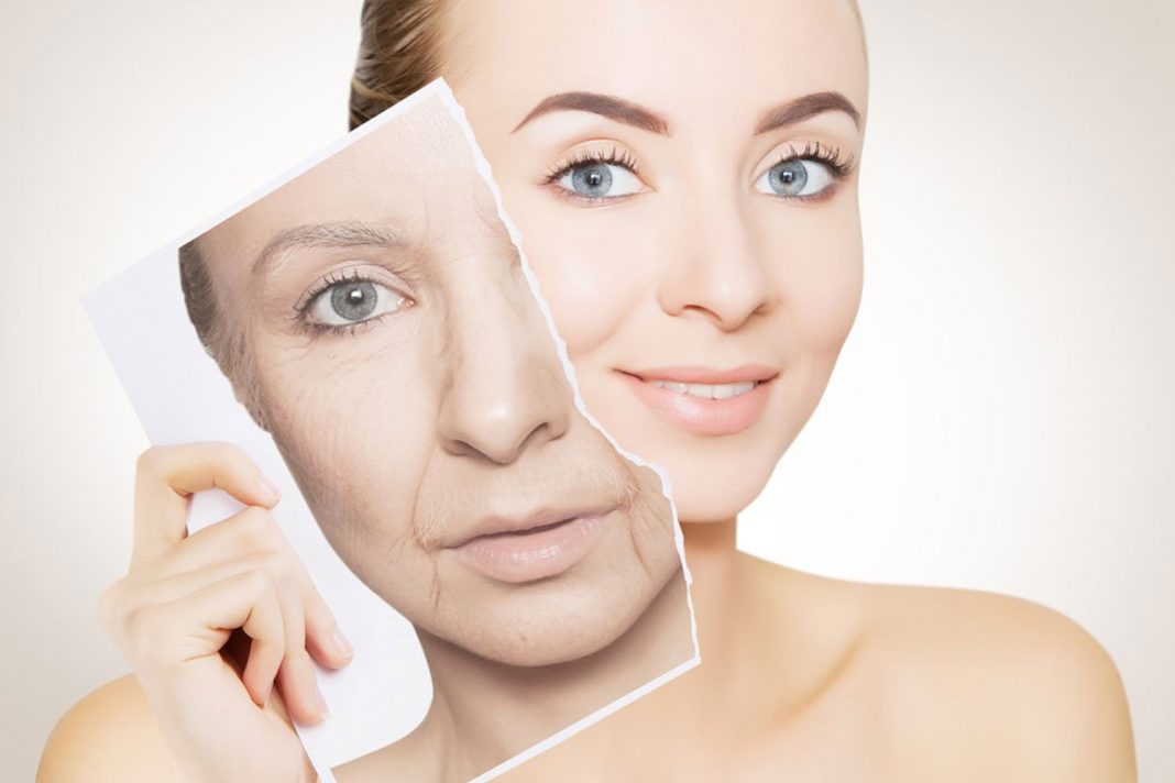 Reverse Ageing Technology – Is It Actually Helpful?