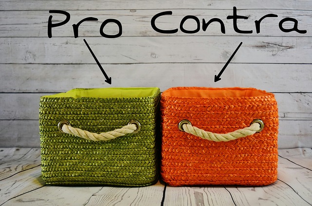 Two boxes illustrating pros and cons