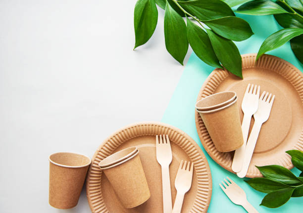 Biodegradable and Compostable plates