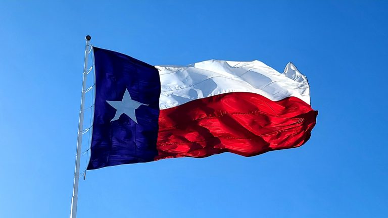 Texas flag, learn about the top-rated Houston suburbs for small business owners.