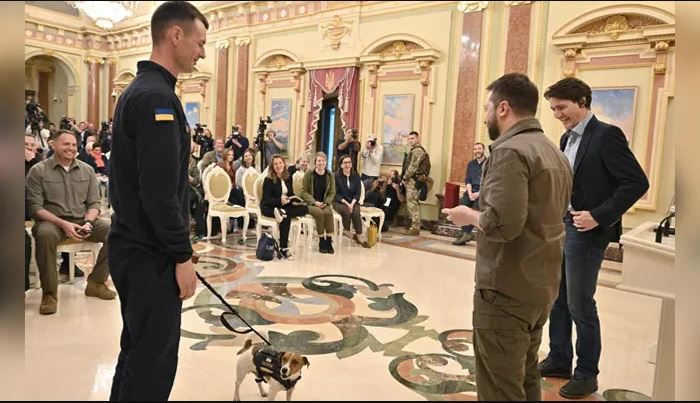 Zelensky awarded the dog a medal for his patriotism