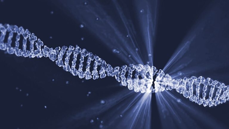 Global Epigenetics Market , By Type , By Applications , By Regions  –  Global Forecast to 2027