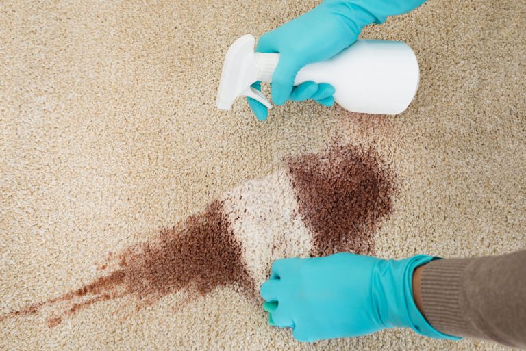 Tips for Cleaning and Maintaining Your Home Carpets