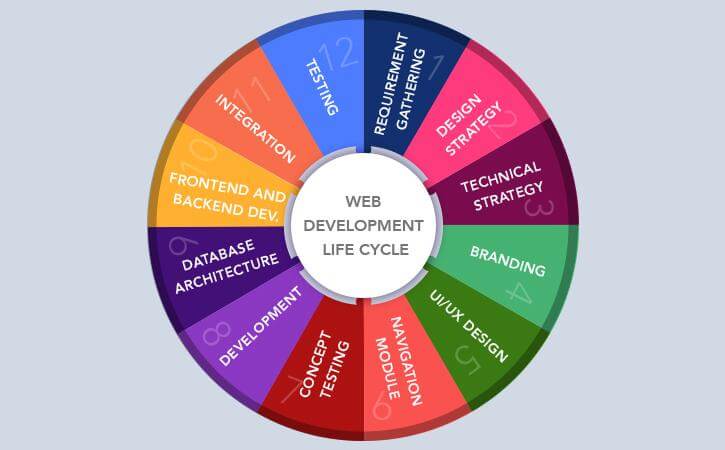 How Many Phases Are Involved in Web Development?