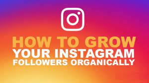 How to Organically Grow You’re Instagram