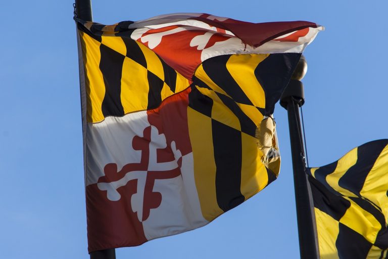 Maryland flag