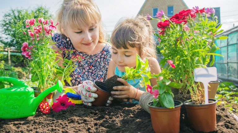 Gardening