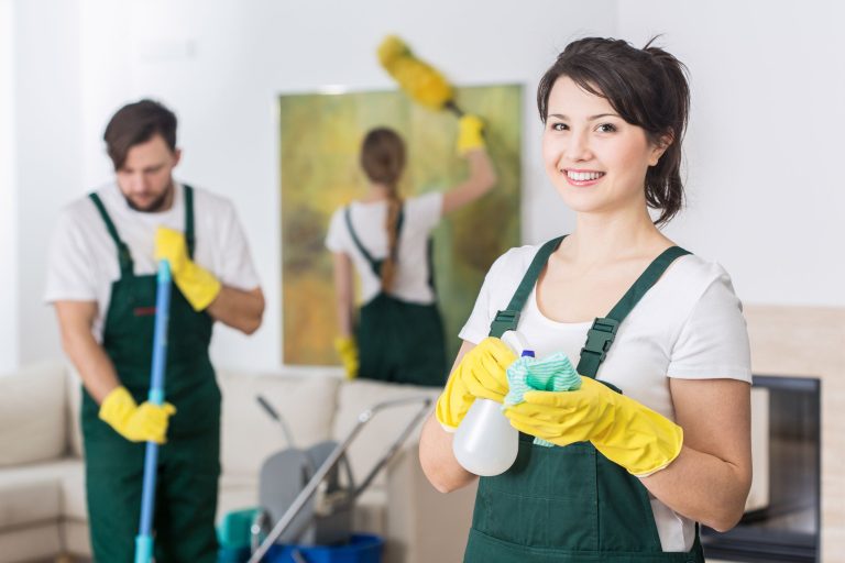 professional cleaning services